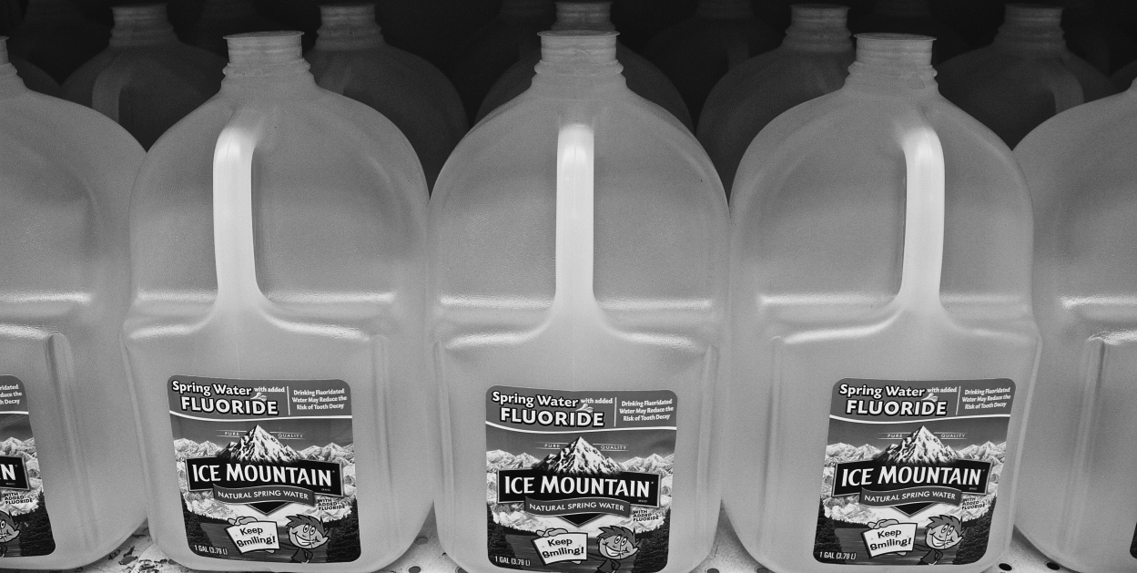 Photo By Me- From the “Food Substitute” photo album