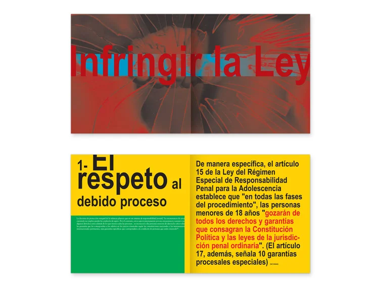 ley_40_2.jpg