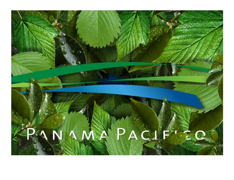 panama_pacifico_1.jpg