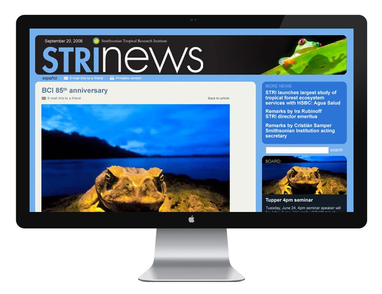 stri_news__ok_1.jpg