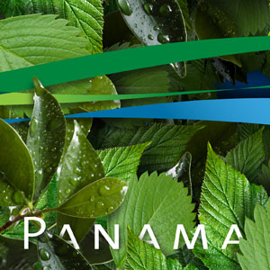 Panamá Pacífico