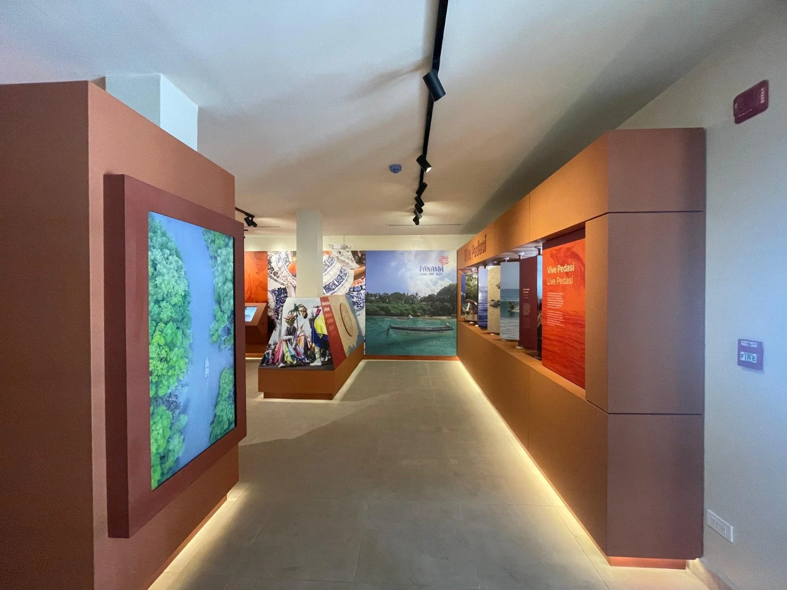 WhatsApp Image 2024-07-11 at 1.19.23 PM.jpeg