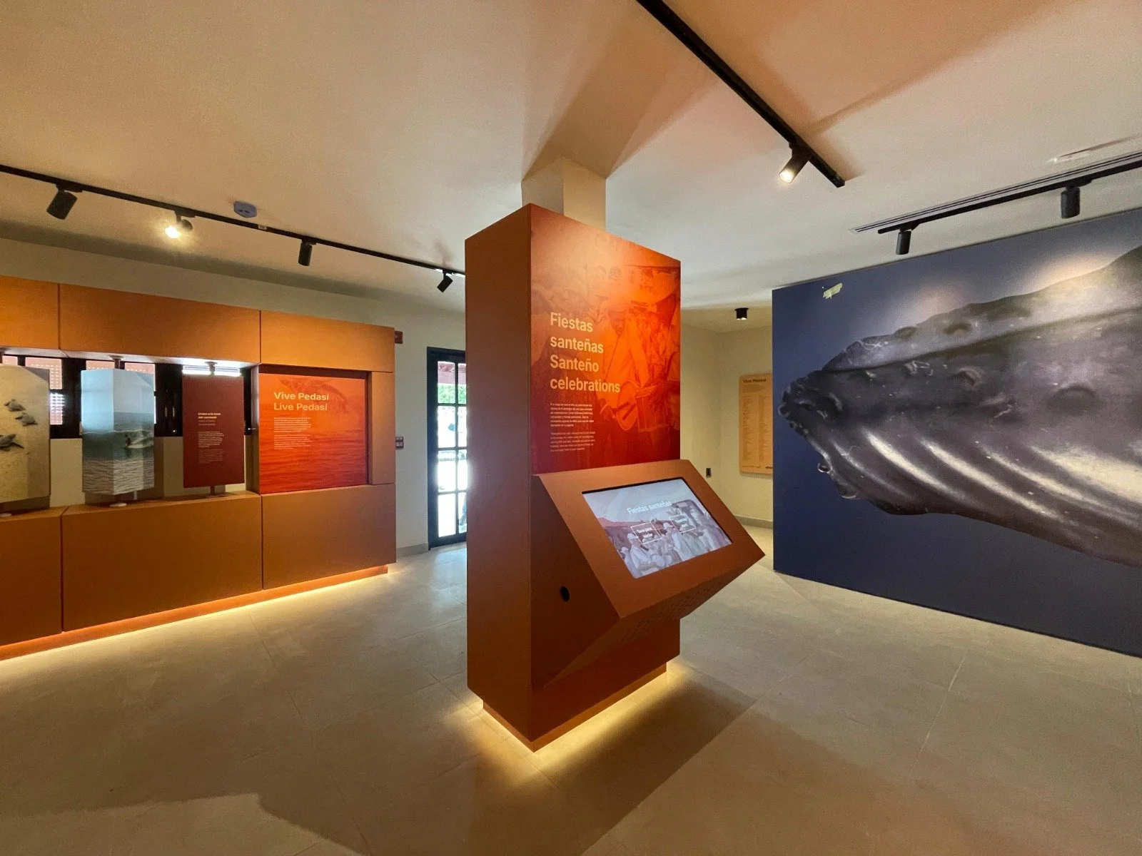 WhatsApp Image 2024-07-11 at 1.19.23 PM(1).jpeg