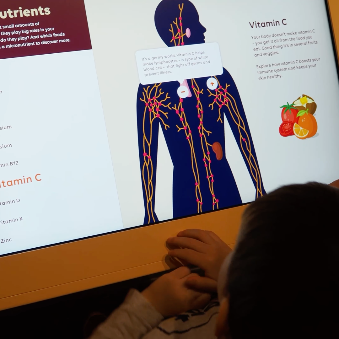 Health Zone Illustrations