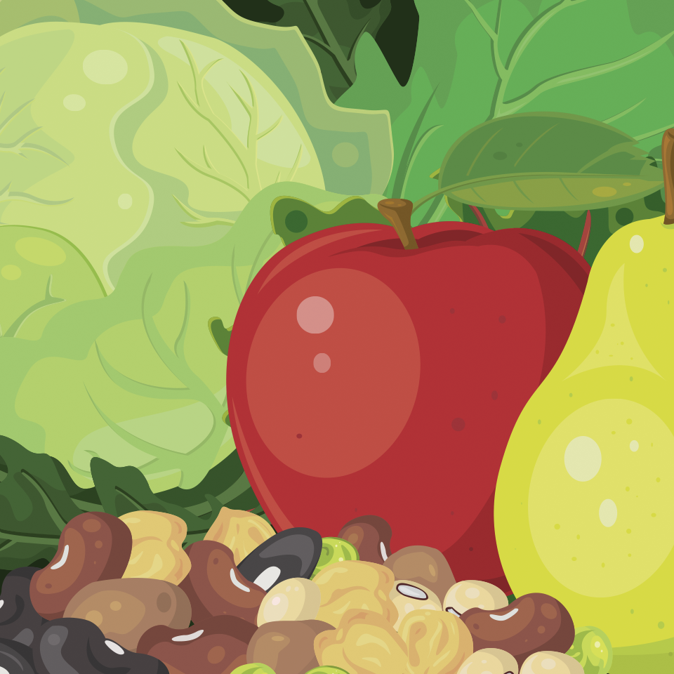 Health Zone Illustrations