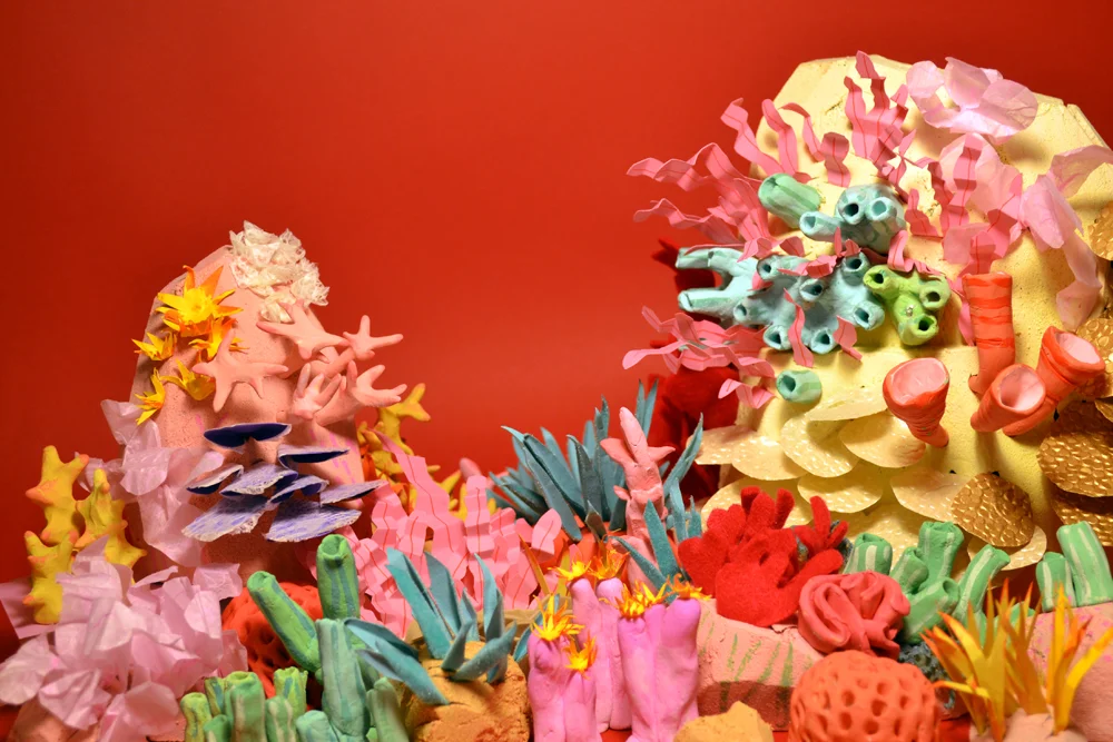 Coral reef model — Philippa Rice