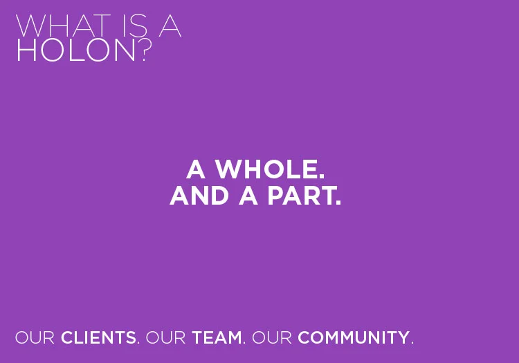 WHAT_is_A_holon.jpg