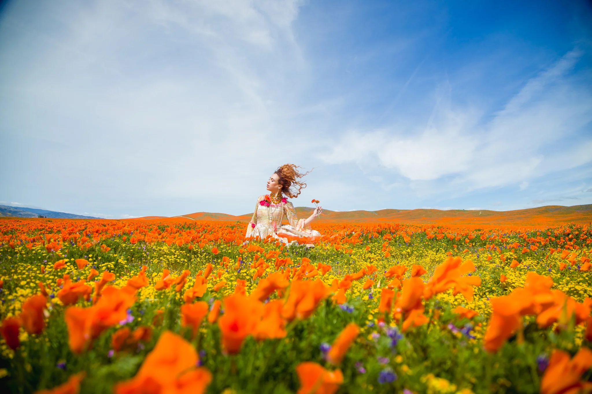   Poppies.  Antelope Valley Poppy Reserver, 2019, stylist. 