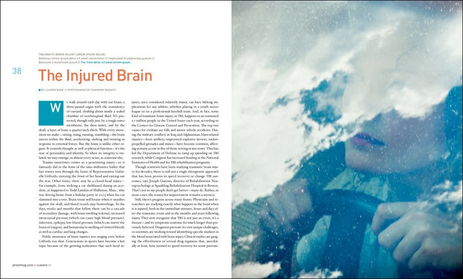 Consciousness Illustration, for PROTO