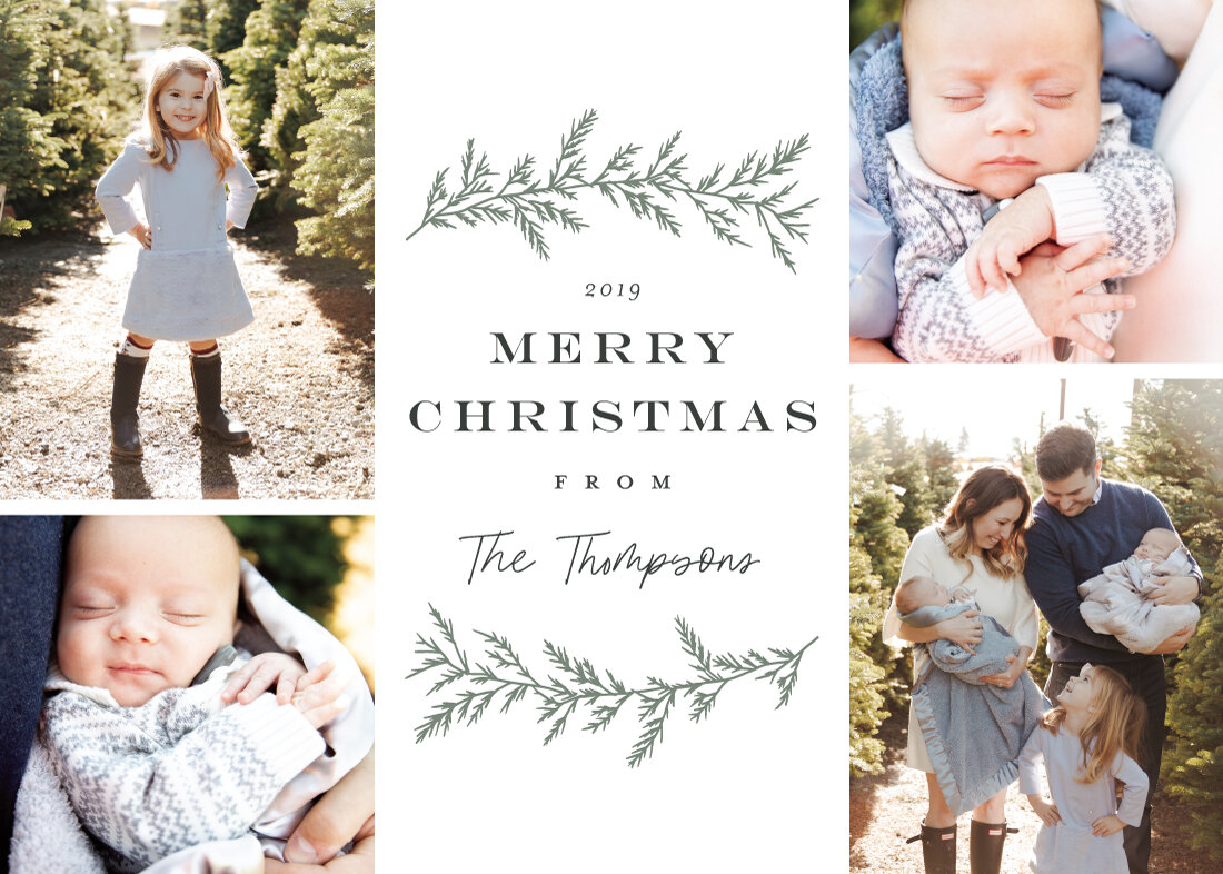 Foraged Pines Holiday Photo Card