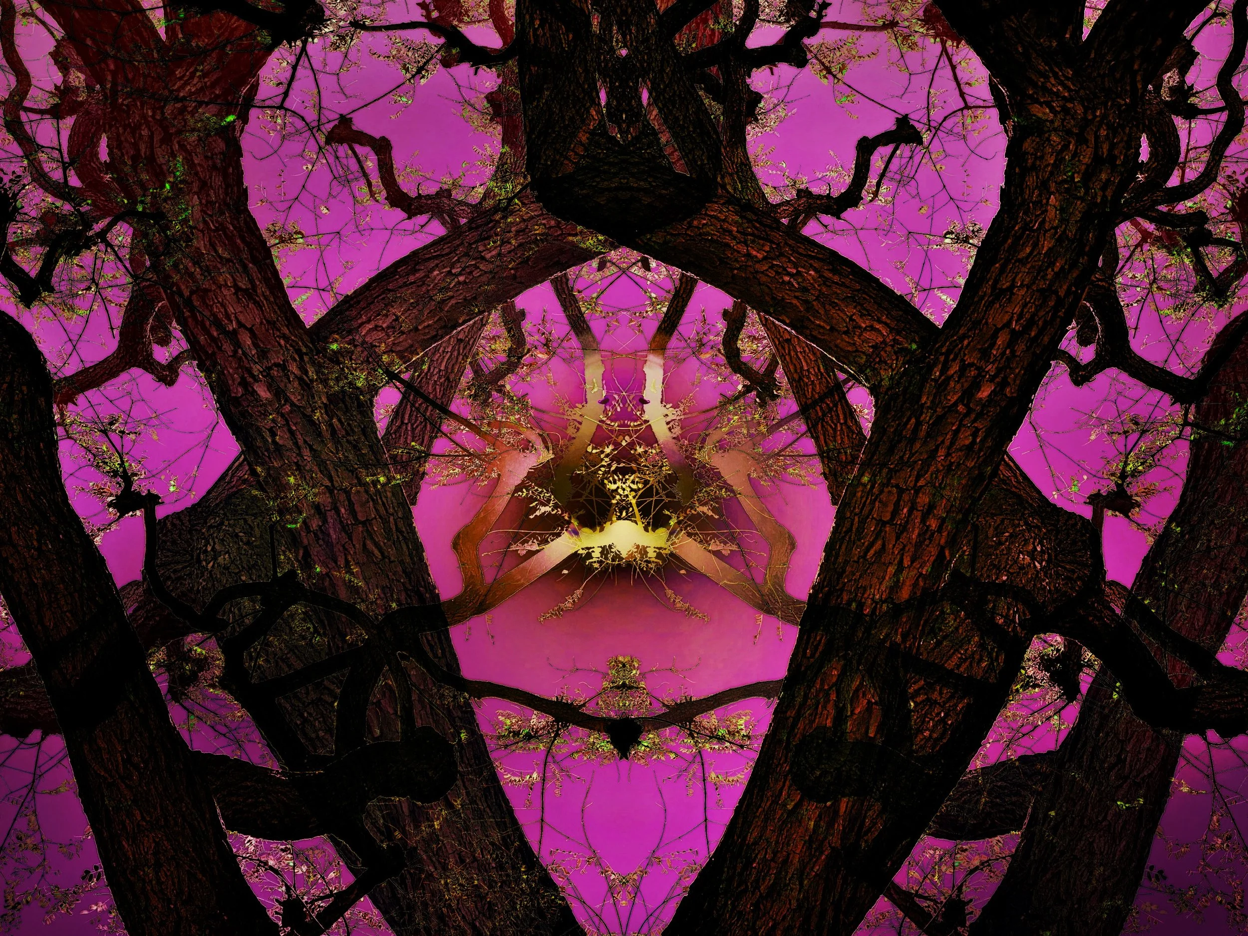 FEB 21 Tree abstraction.JPG