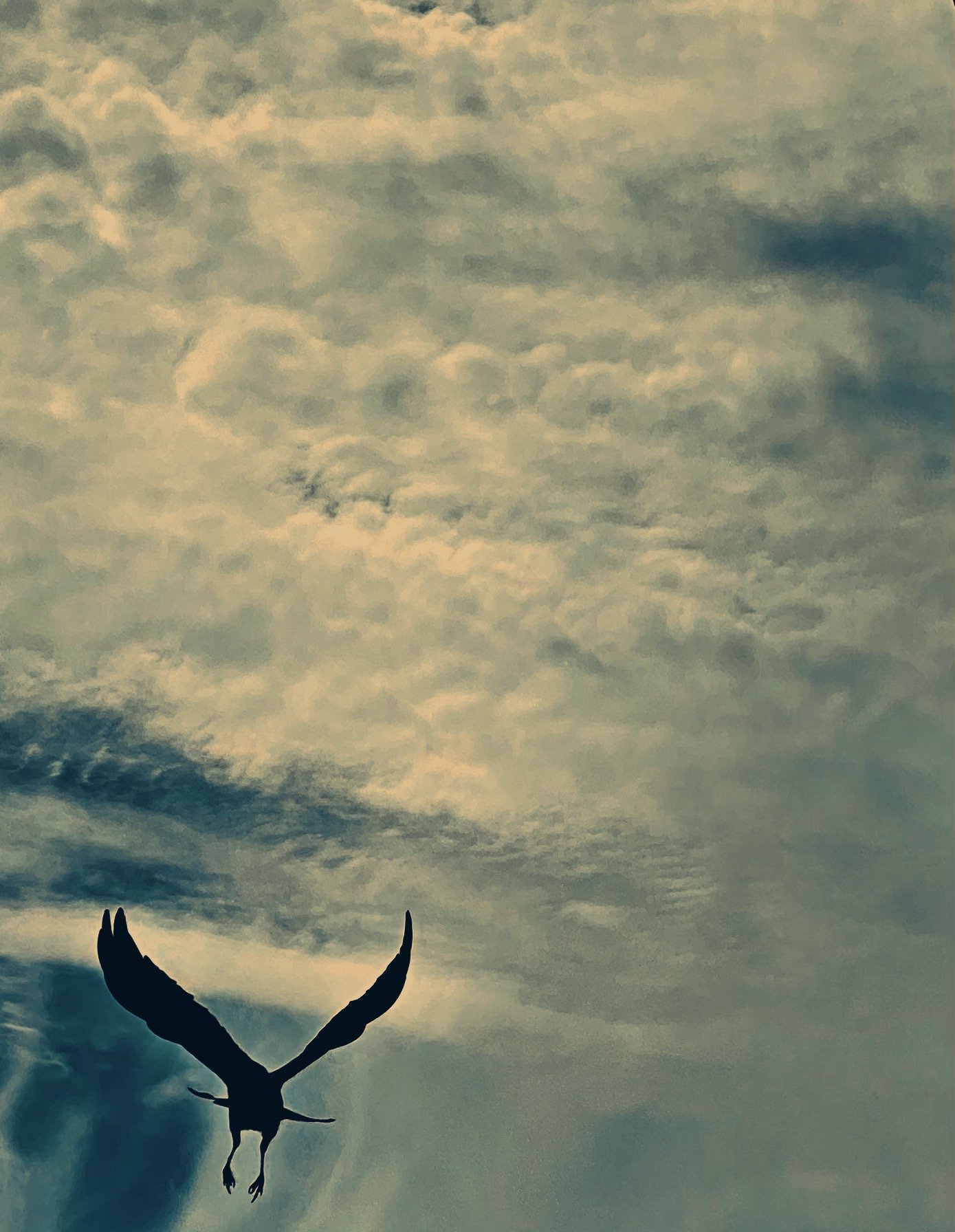 APR 21 Crow clouds.JPG