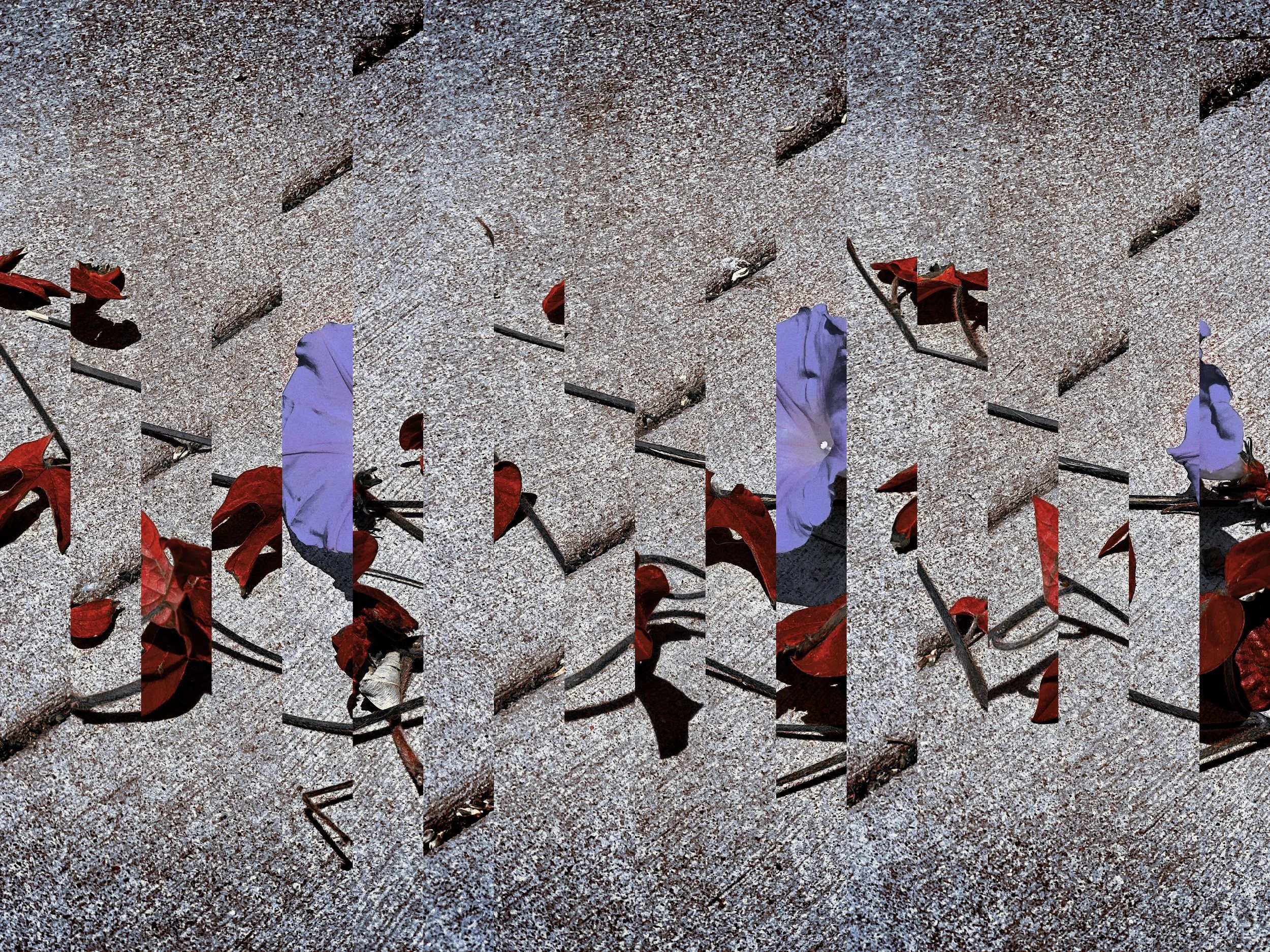 MAY 21 Abstraction.JPG