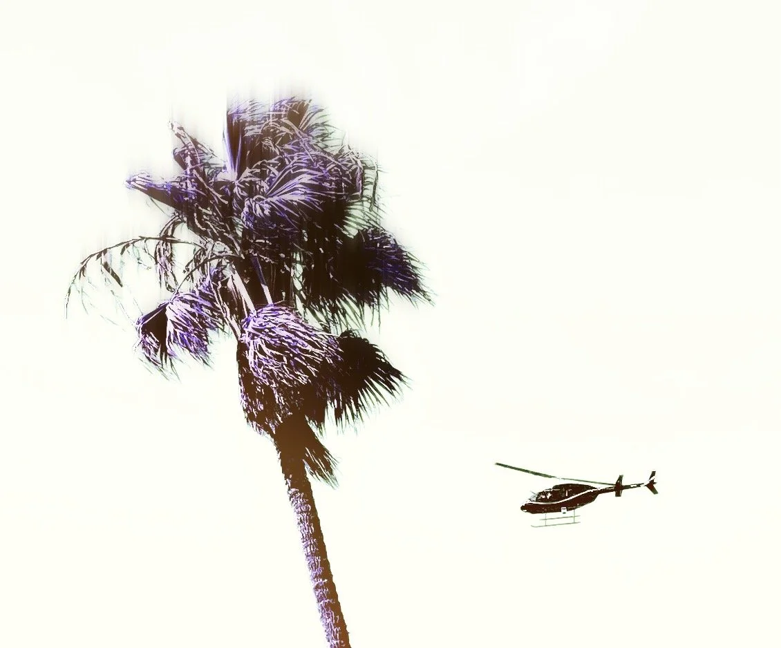 OCT 21 Heli palm.JPG