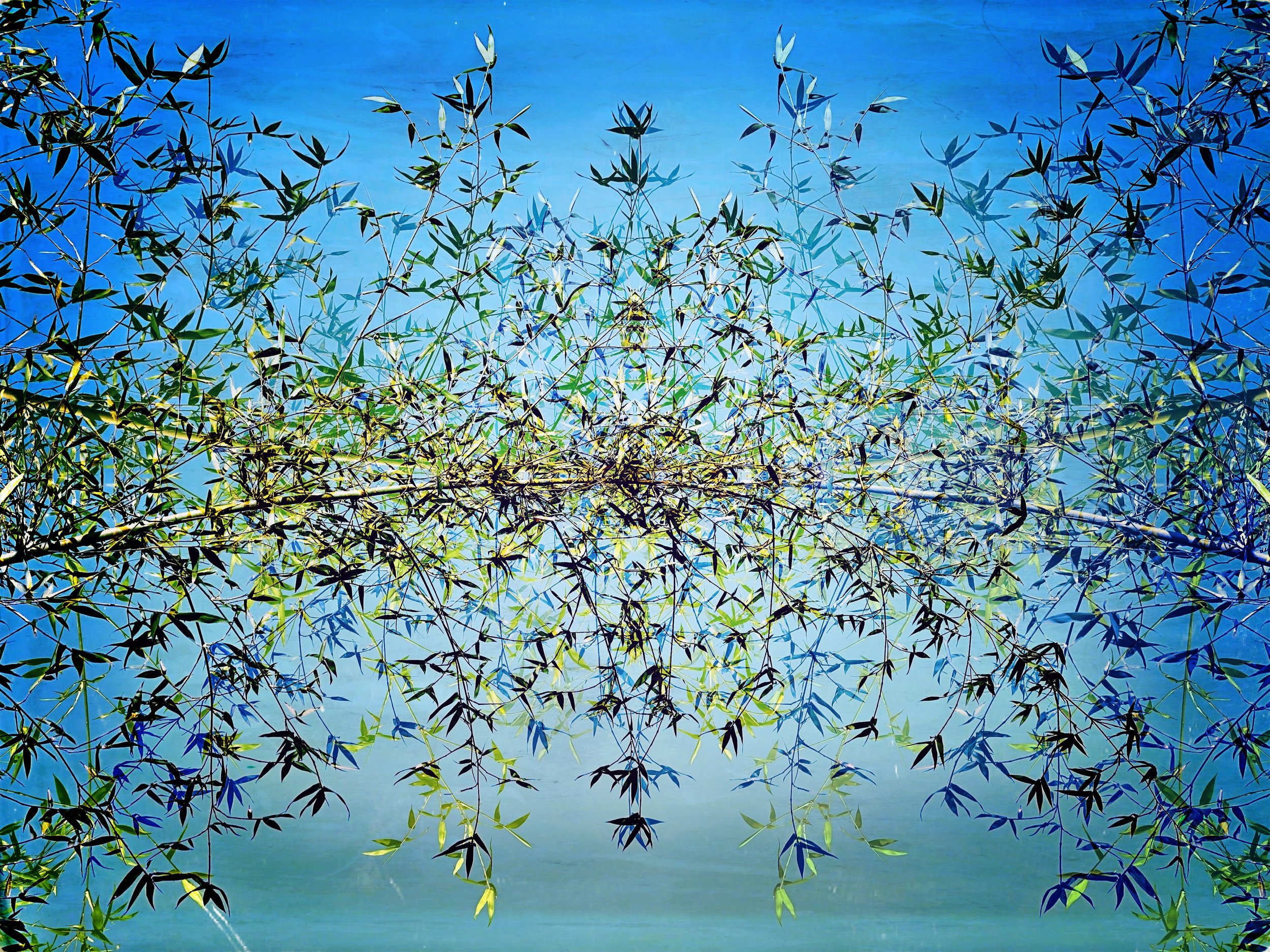 JUL 21 Abstraction 1.JPG