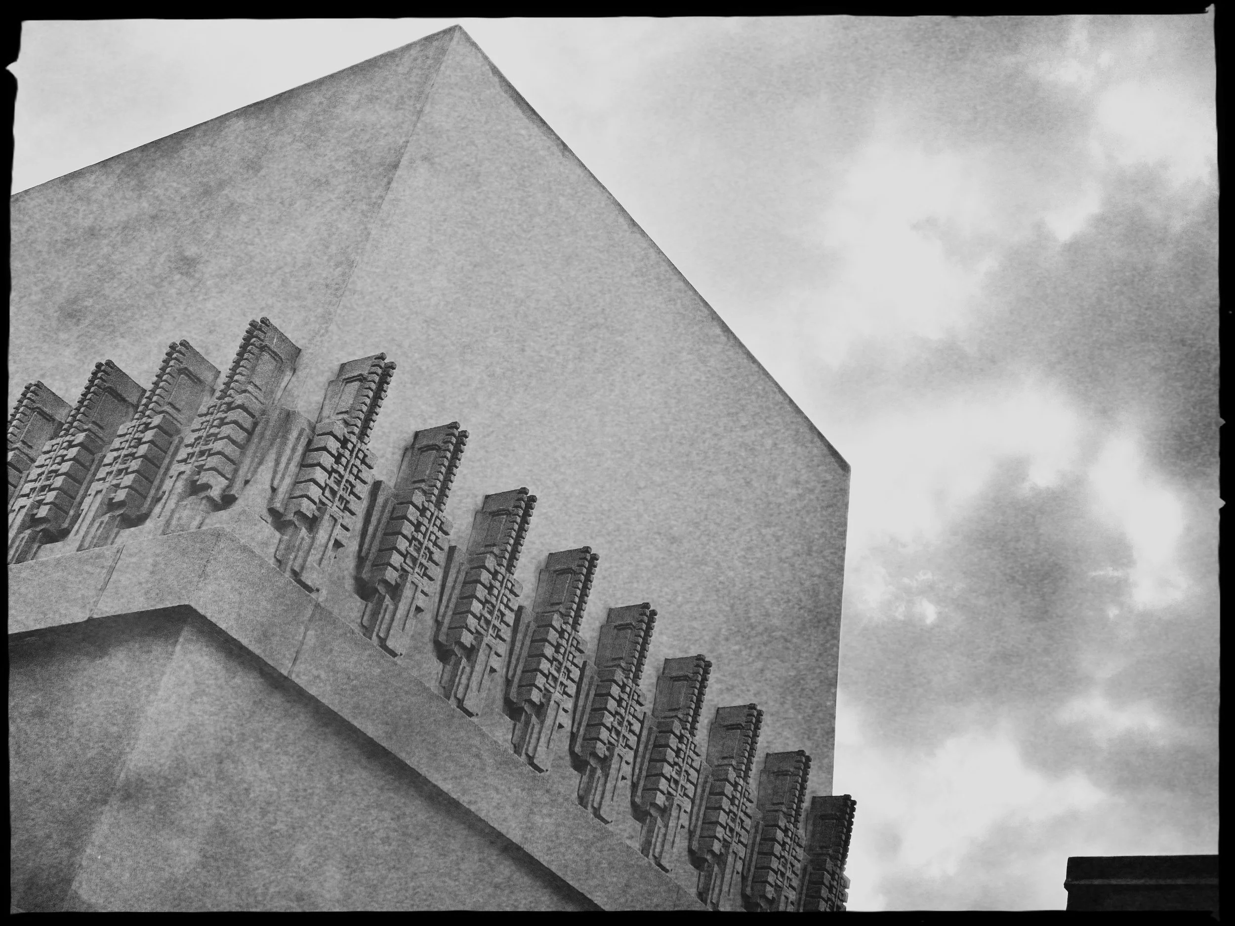 FEB 20 Hollyhock 2.JPG