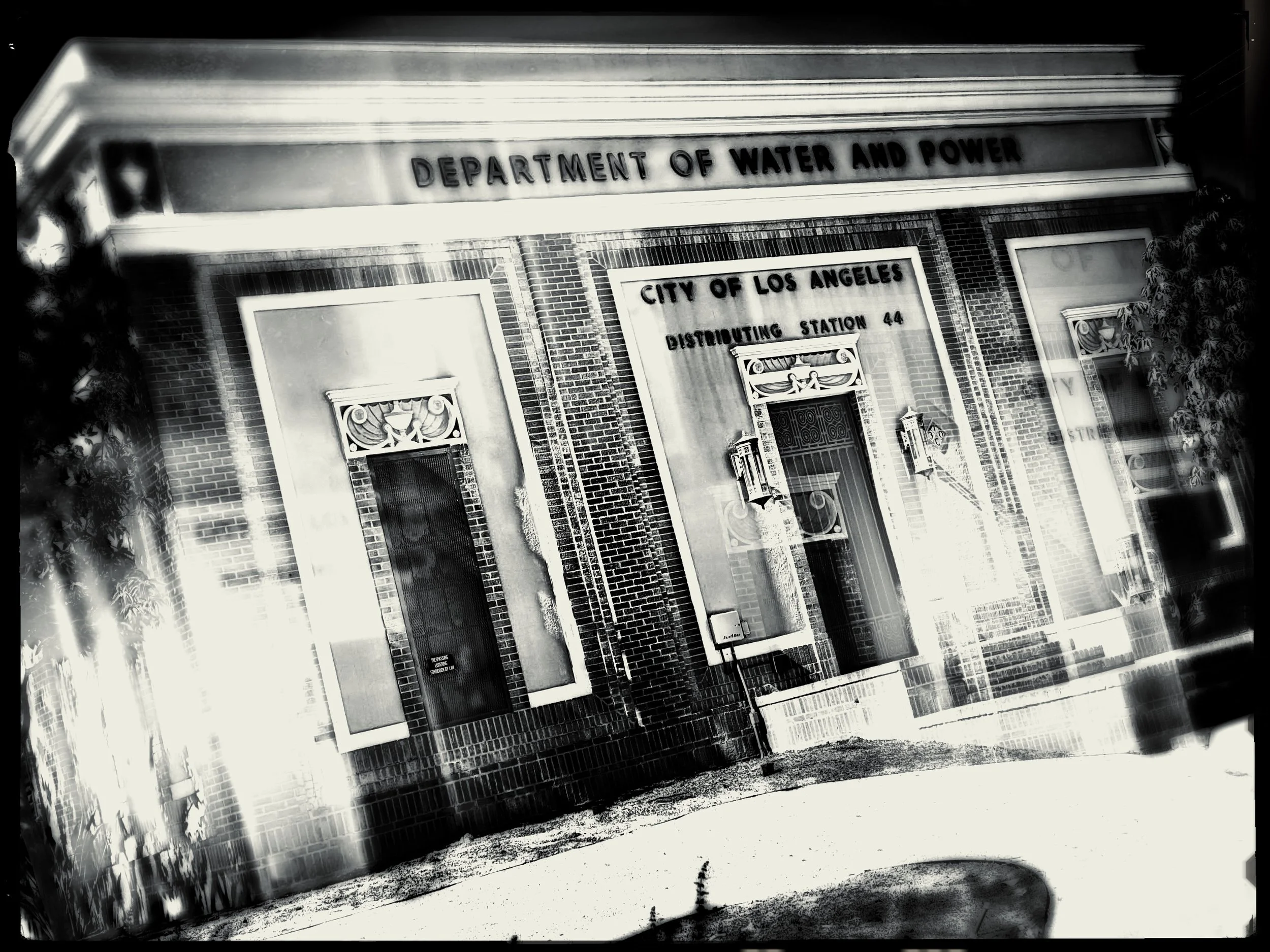 MAR 20 DWP Noir.JPG