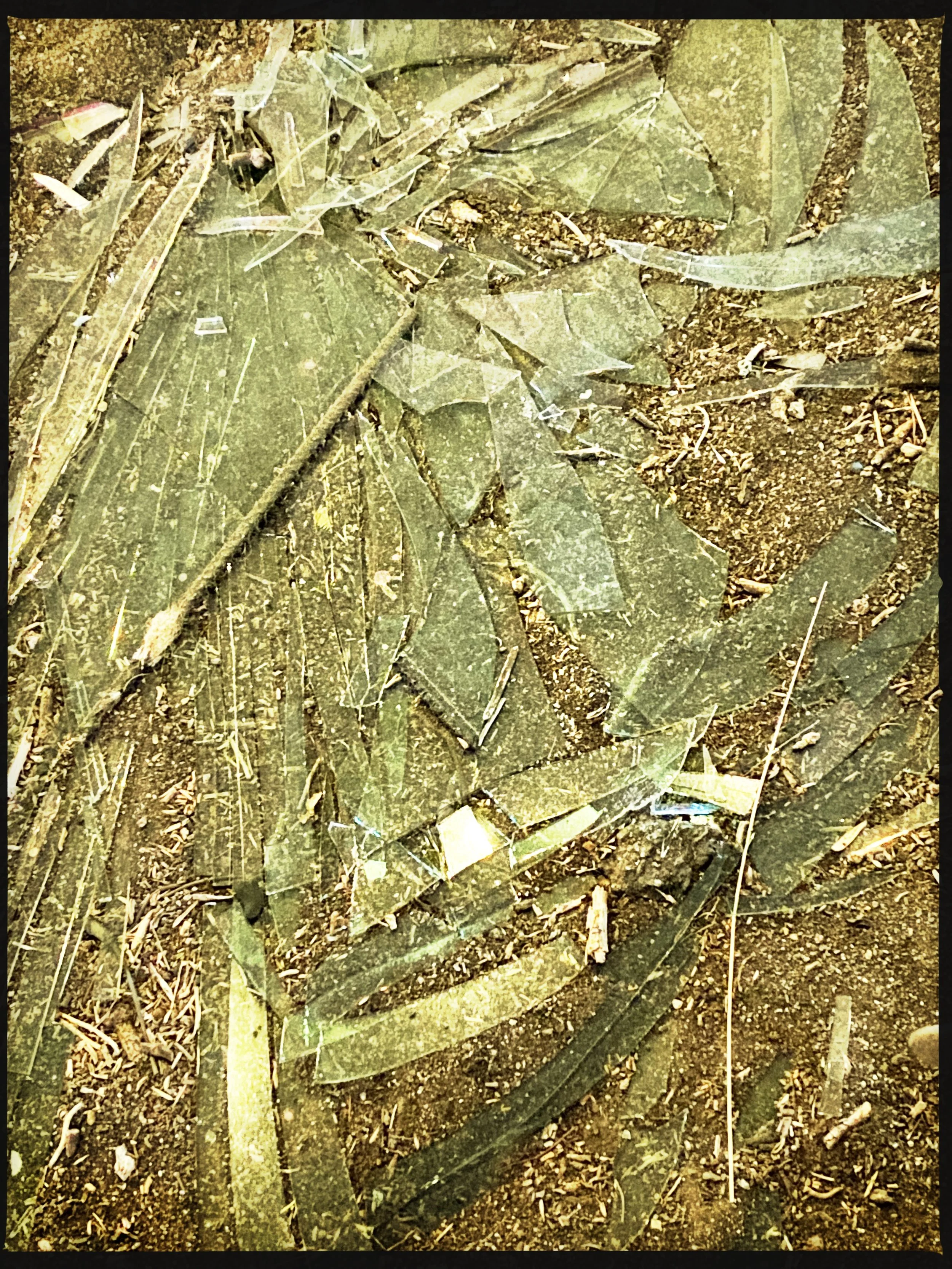 AUG 21 Broken glass.JPG