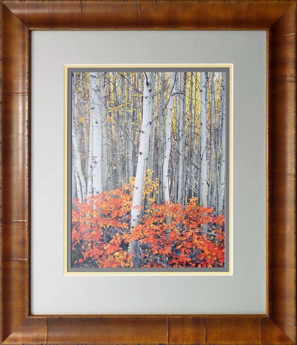 Mike Putnam "Aspen Grove". Custom Framed by High Desert Frameworks!, Bend Oregon.