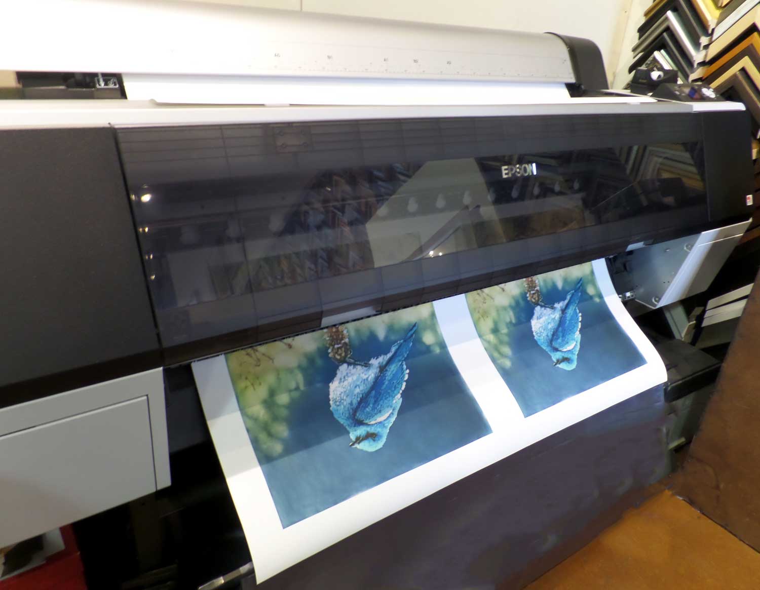 Jessica Layton "Bluebird" art prints - Hot off the press at High Desert Frameworks.