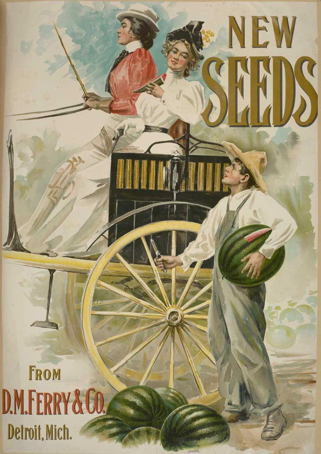 HDFW-DMFerrySeed-Watermellon-1500-WEB.jpg