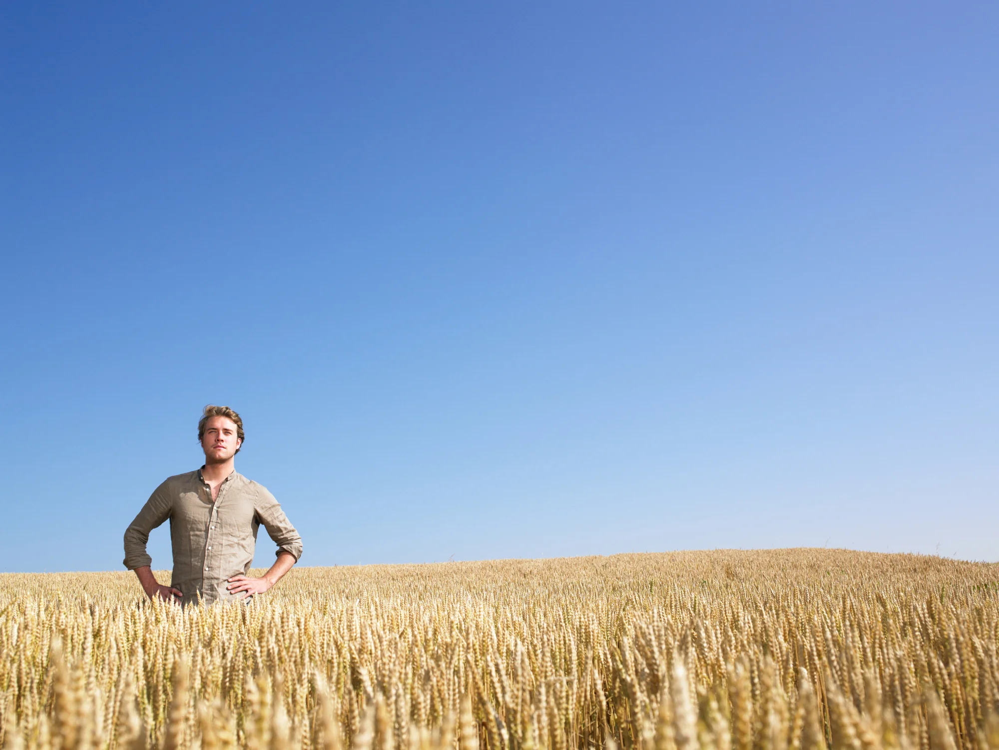 GMOs are safe: a response to Clean Eating's anti-GMO article