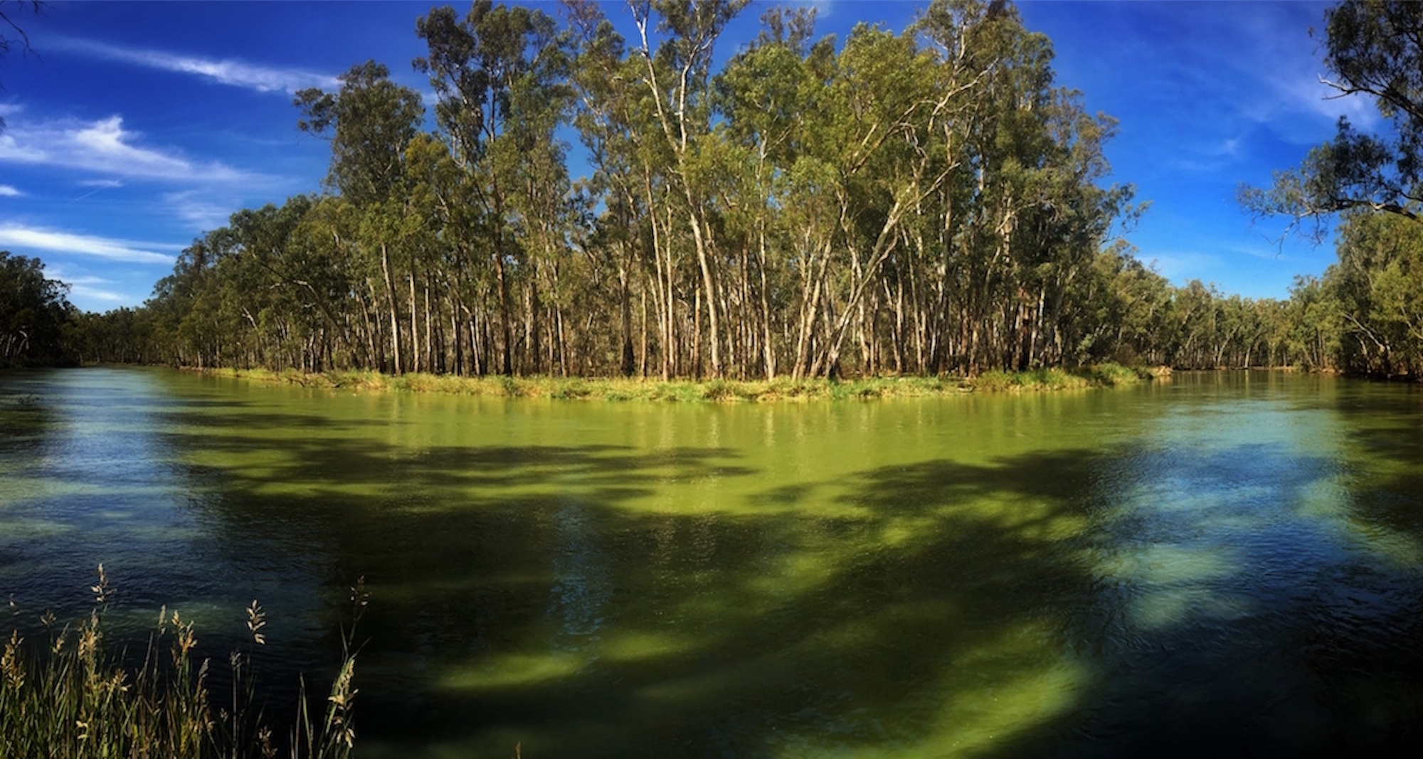 File 23-04-2016, 3 59 29 PM.jpeg