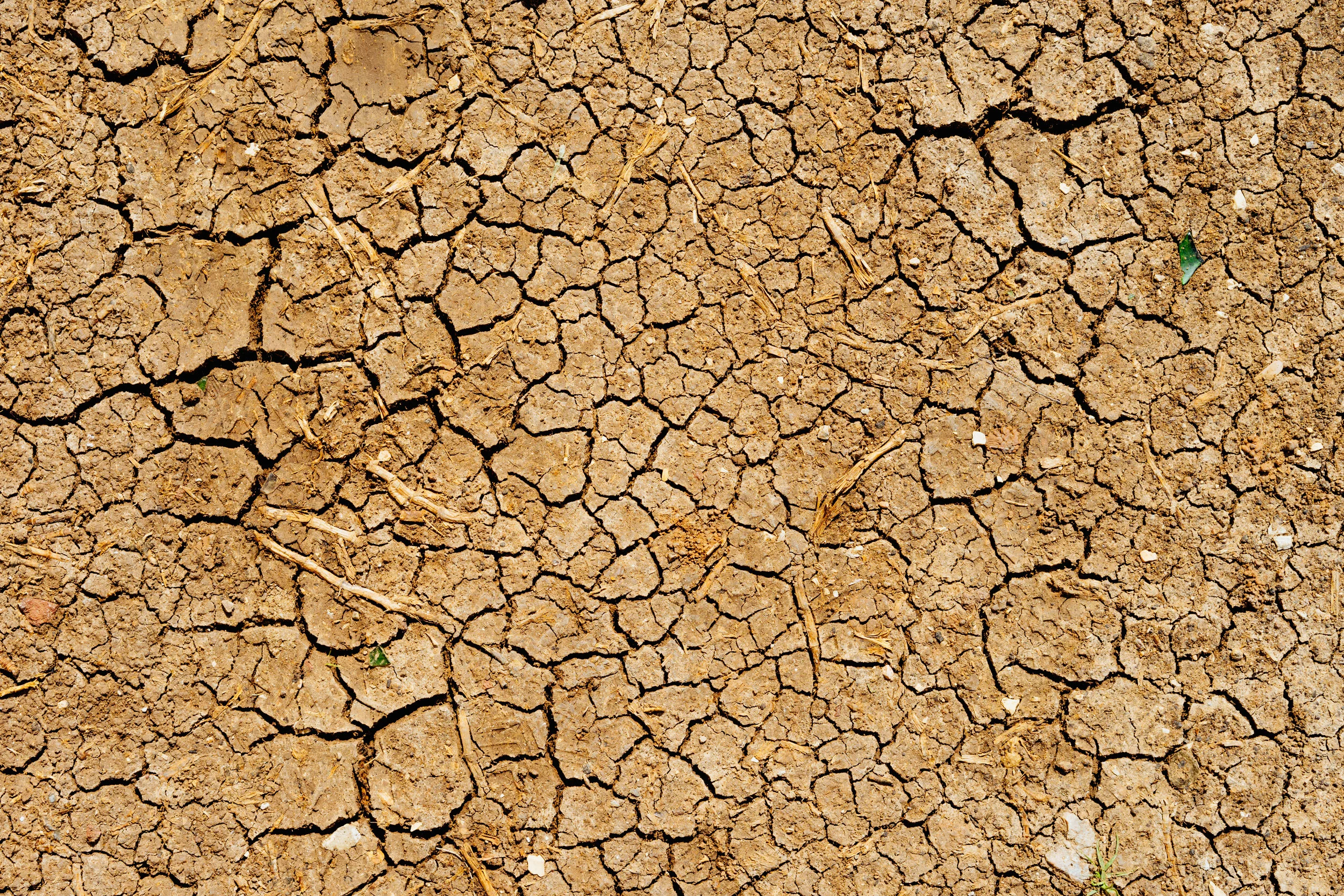Droughts of empathy, rivers of remorse