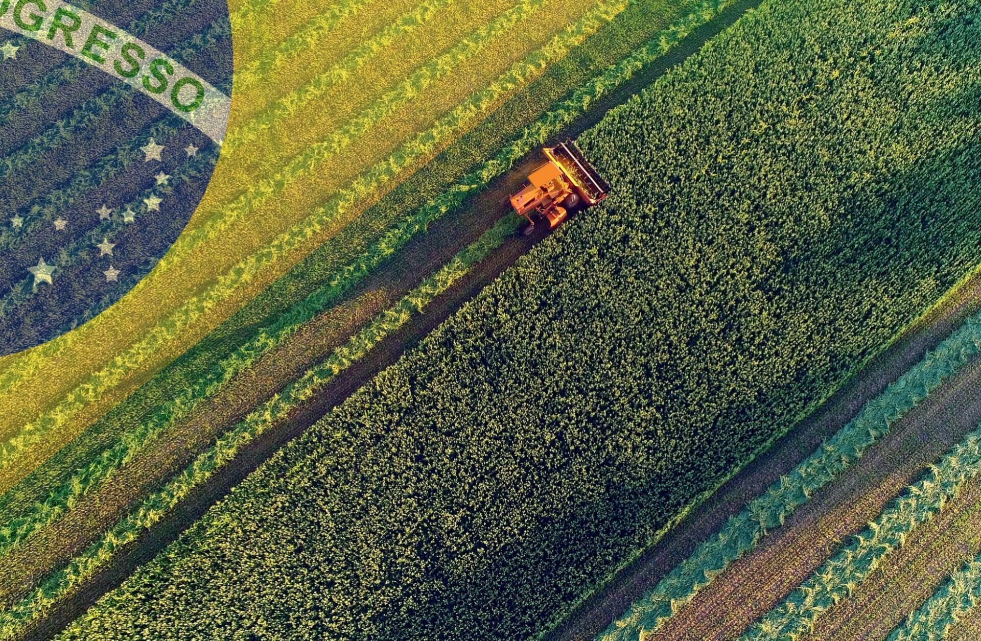 brazil-agriculture.jpg