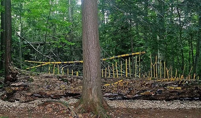 Haliburton Forest Project, Haliburton, Ontario, Canada. Installation conceived as homage to dead trees. Curator: Reinhard Reitzenstein.