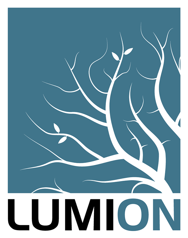 lumion_logo_2016_twocolors.png