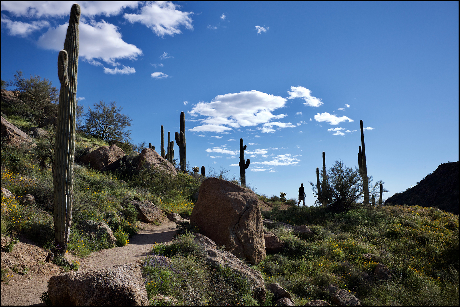  Scottsdale, Ariz. 