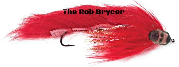 A Rob Bryce Special.jpg