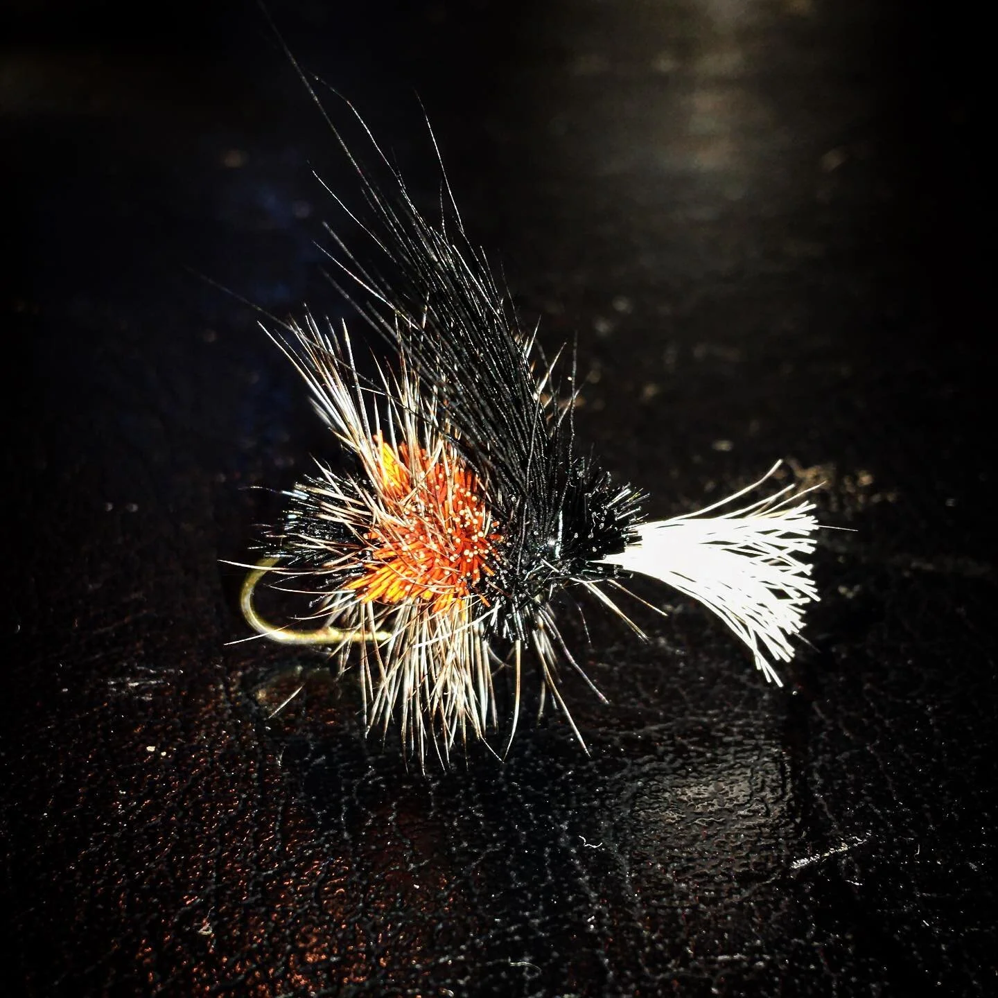 The Shaggy Bumble Butt! Did you know that there are over 250 different species of bumble bees? 🐝 They are also very important pollinators! What&rsquo;s your favourite species of bumble butts? #fly #bumblebees #bumblebutt #bee #bees #flyfishing #flyt