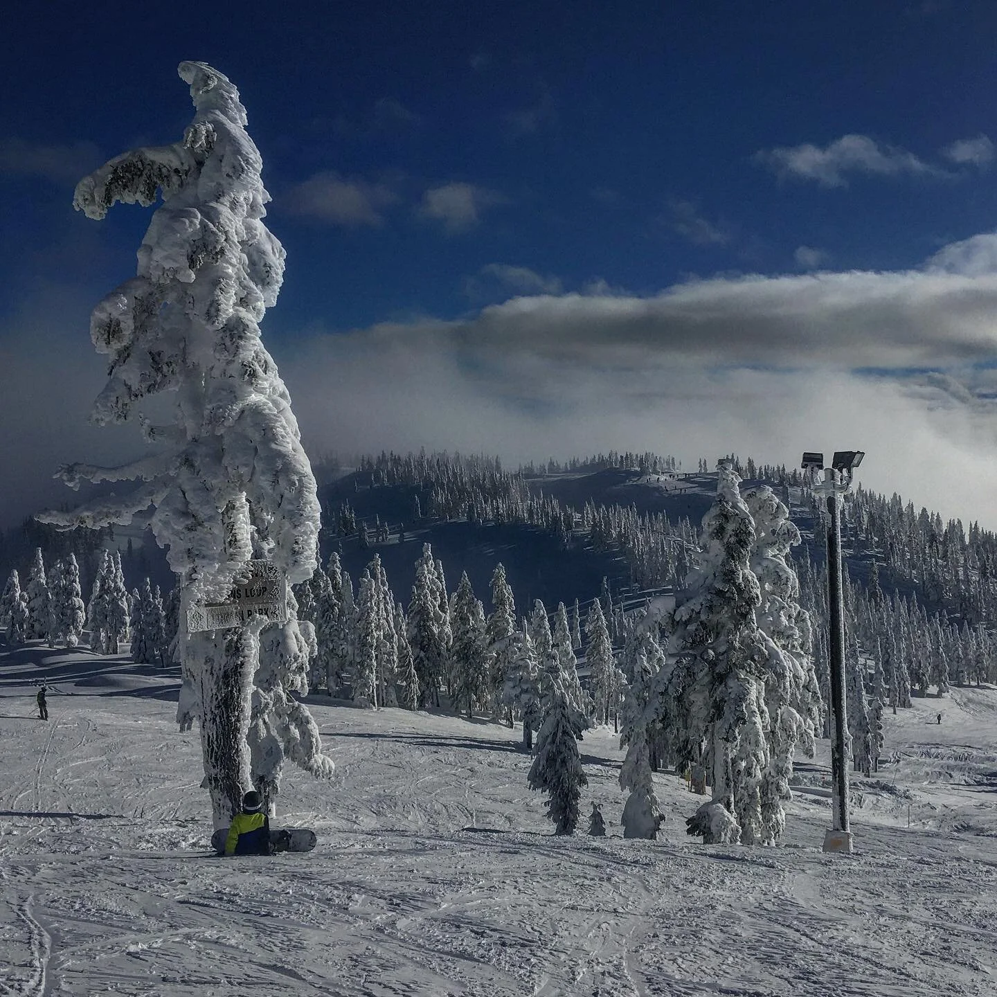 Took a winter mental health day! Great day with great people. 

I ate shit under right under the chair lift and became a human snowball applauded by a good sized audience as my skis flew into the trees without their Captain. 

I also shredded some po