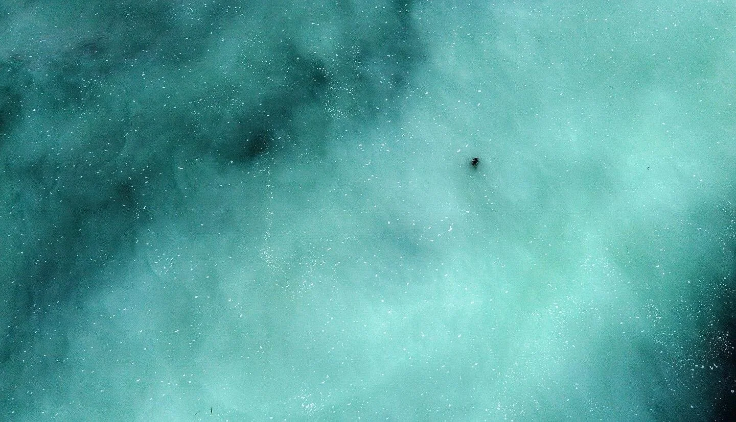 Day 2 of filming and photographing the herring spawn between Campbell river and Courtney. Even managed to get the dingy out and jig up a few for dinner and maybe some pickling! 😋 #herring #herringspawn #herringspawn2021 #vancouverisland #fish #fishi