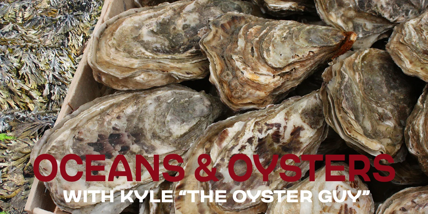 oyster.jpg