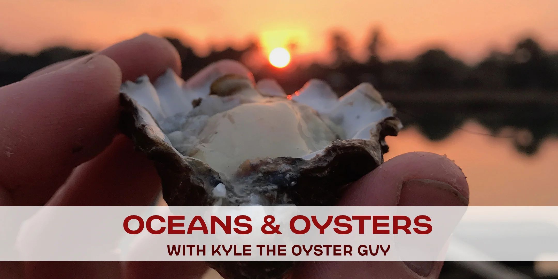 oceans-oysters.jpg