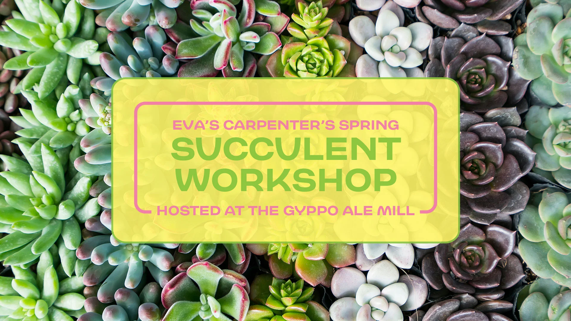 spring-succulent.jpg