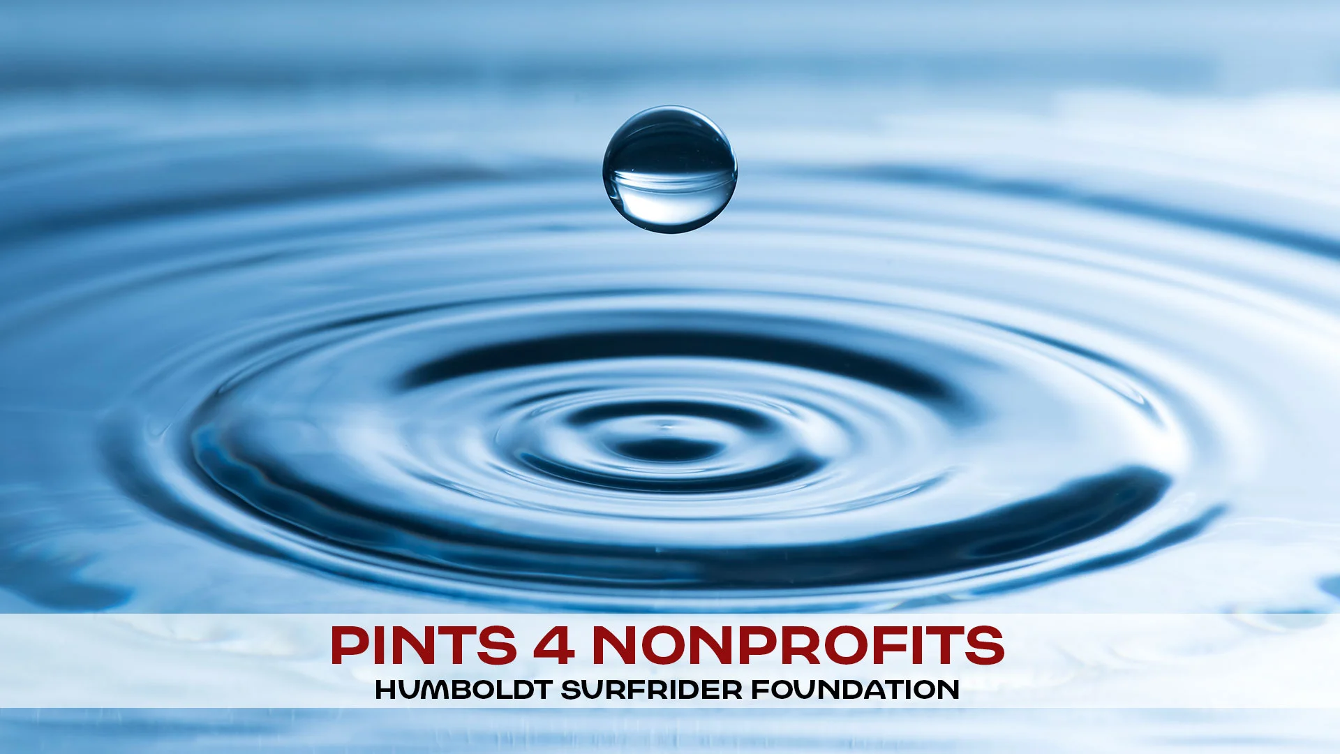 p4np-surfrider.jpg