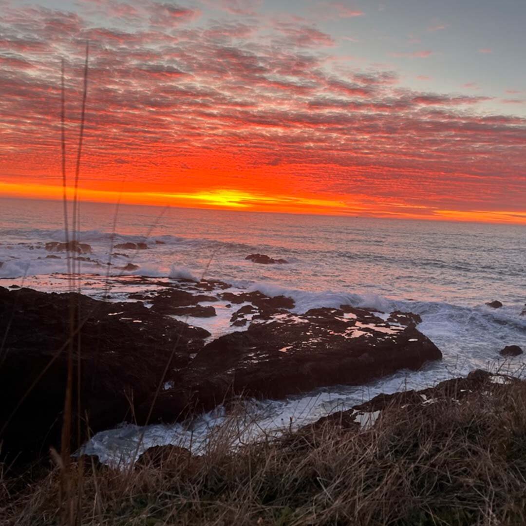 Never go too long without watching a sunset.” — Atticus
California’s Lost Coast is one of the most magical places to watch the sunset. Be it at Abalone Point or Seal Rock, or my personal favorite, the Gyppo Beer Garden! 🤩 Pair