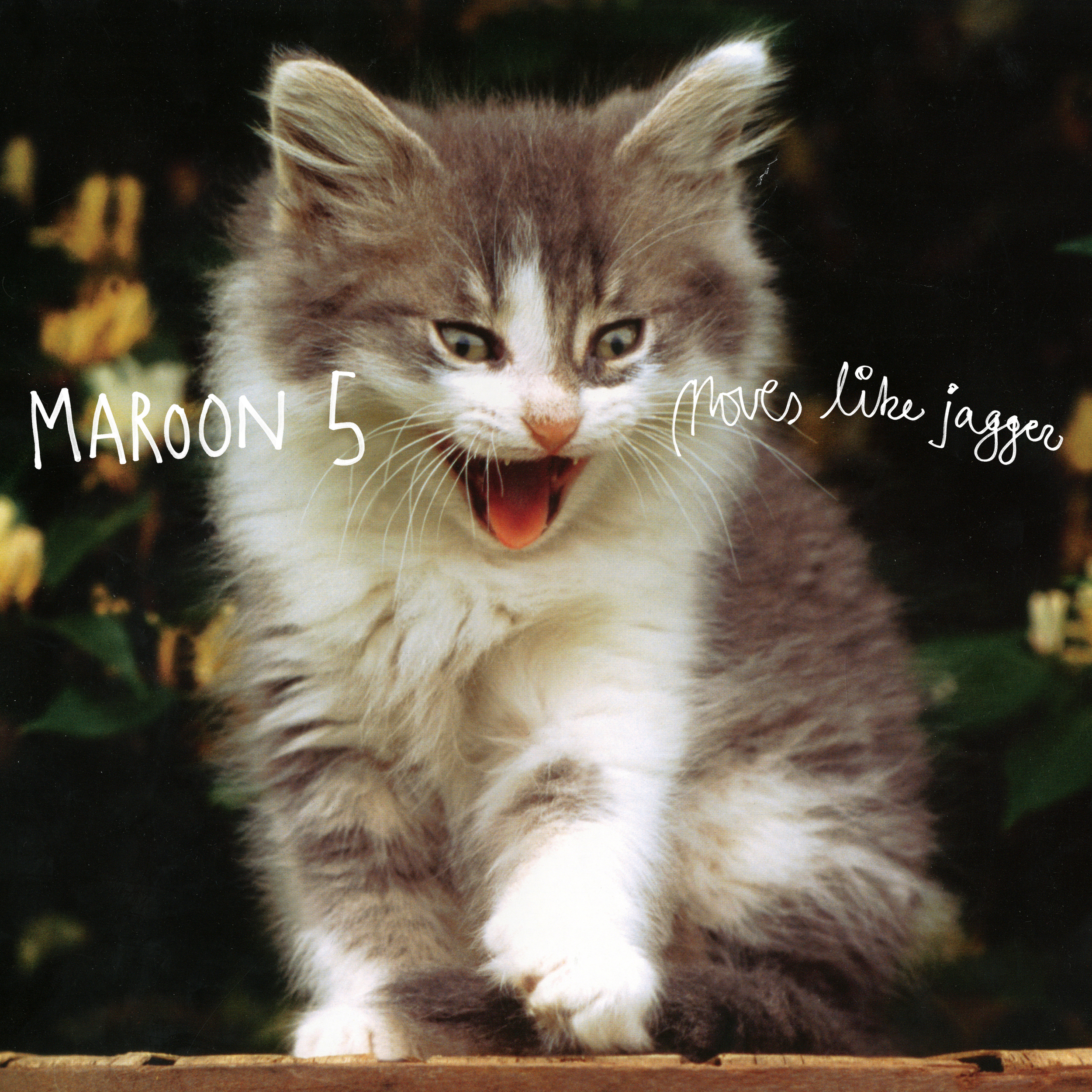 Maroon 5 “Moves like Jagger”