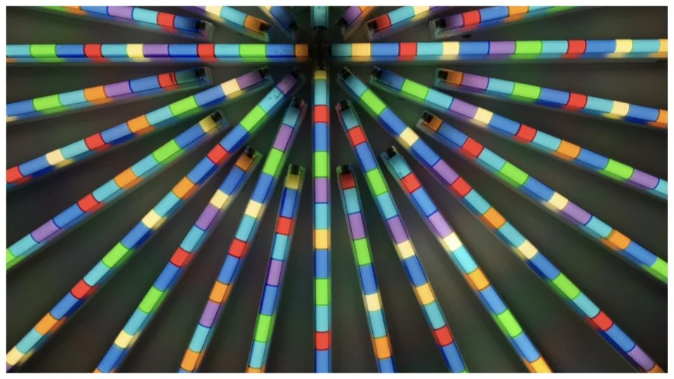 Colorful striped straws arranged in a radial pattern.