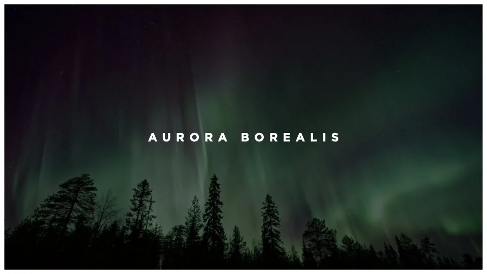 Night sky with green aurora borealis above a silhouette of trees