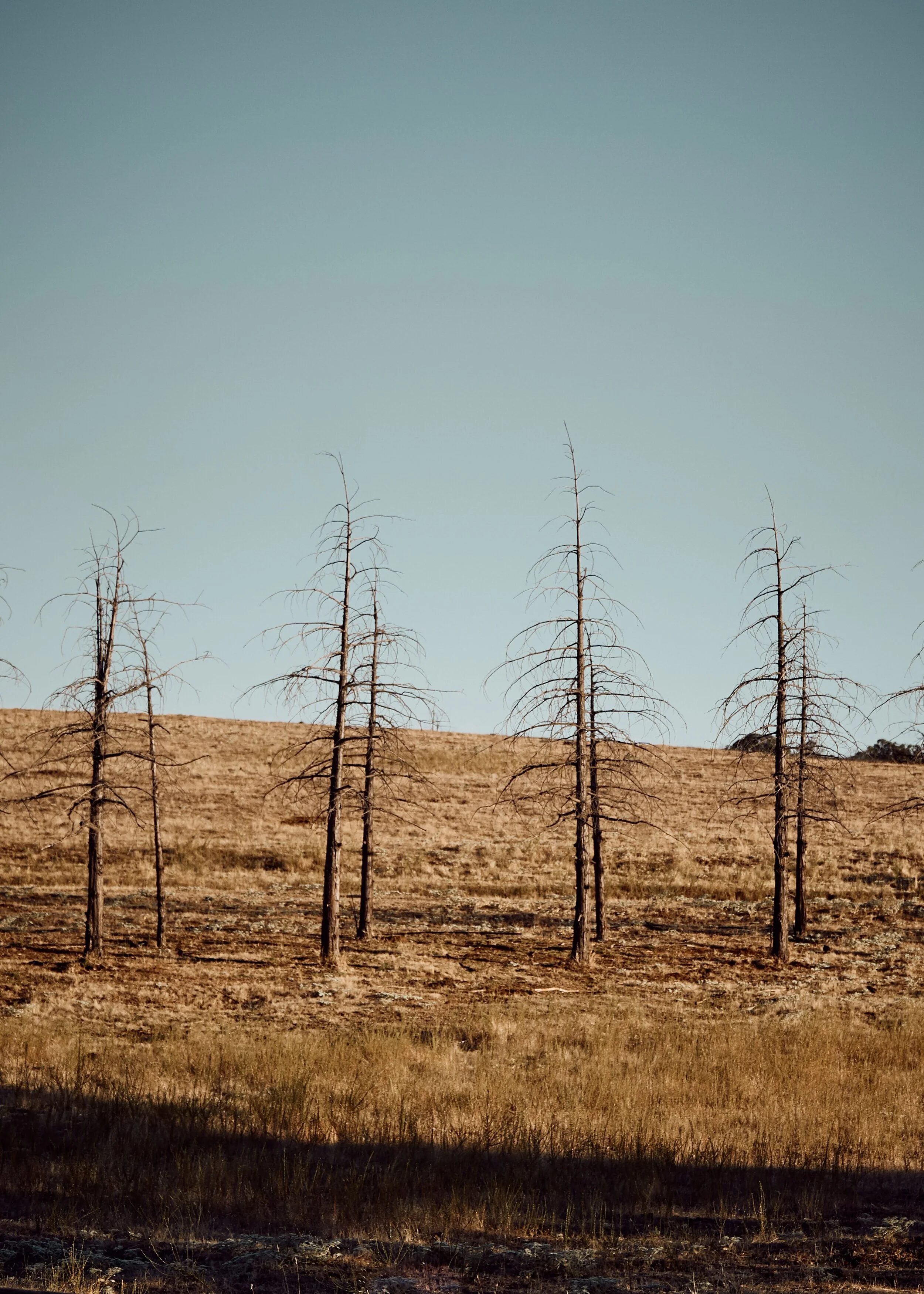 My Last Prayer (Breaking Up With God)