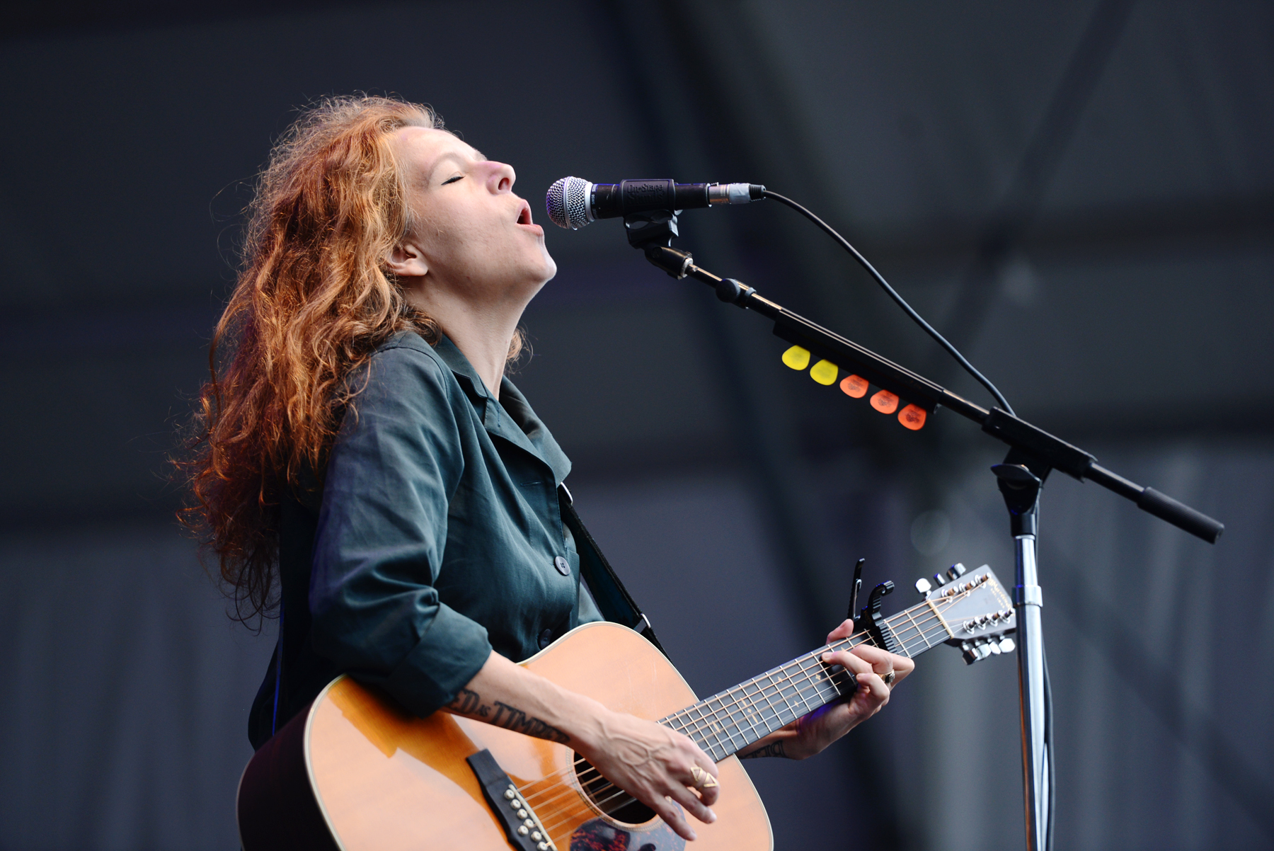 nekocase2_NC.jpg