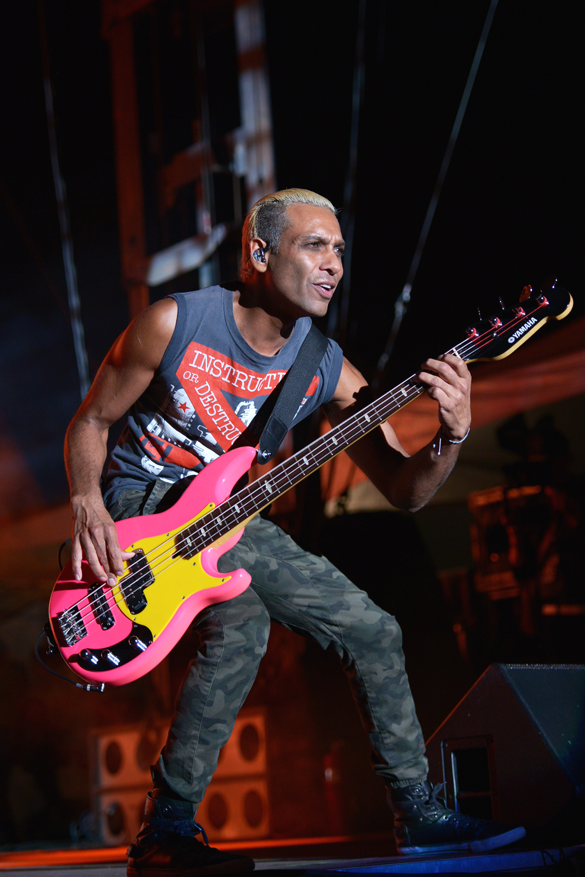 nodoubt_riotfest_chicago_2015_5.jpg