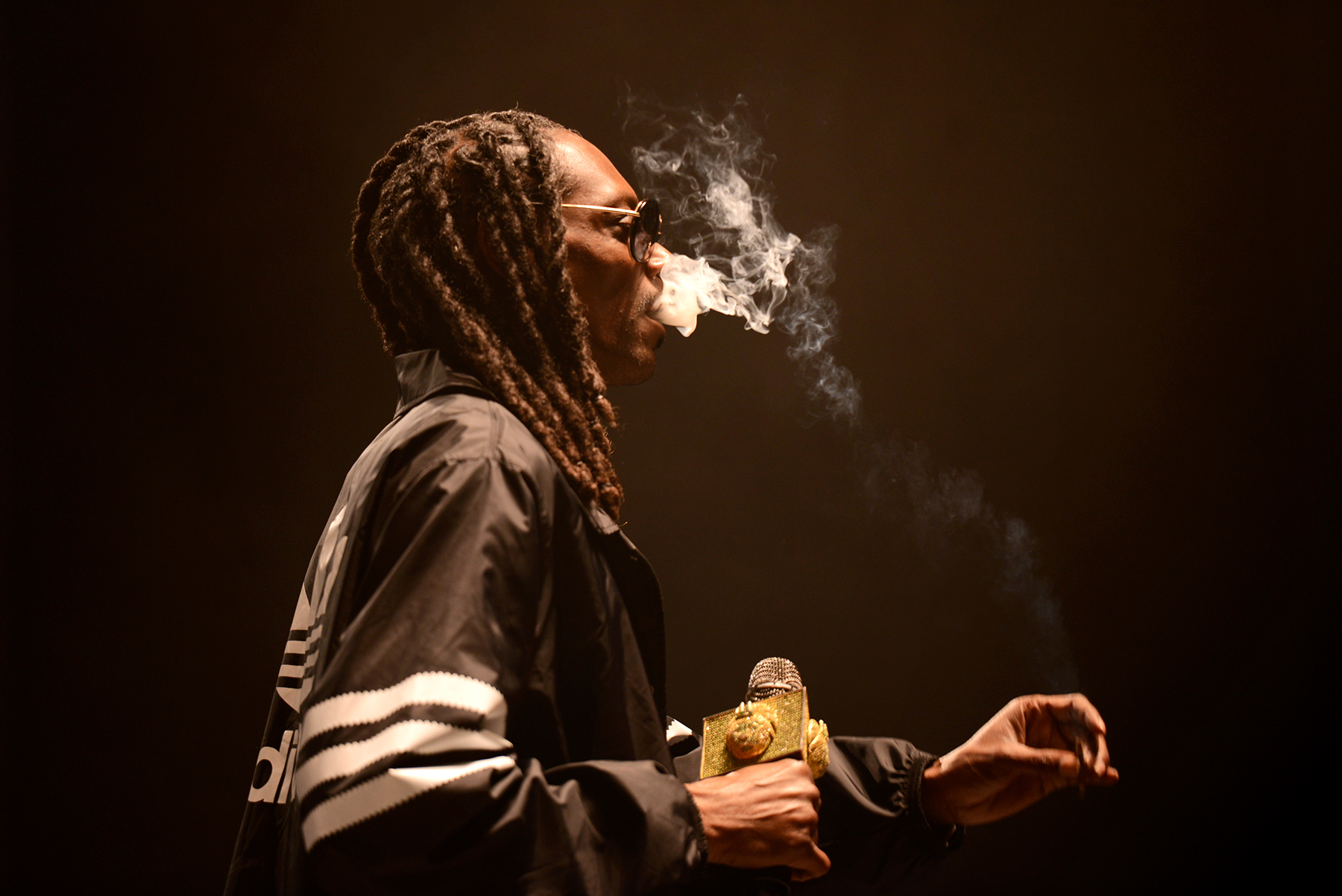 snoopdog_riotfest_chicago2015_1.jpg