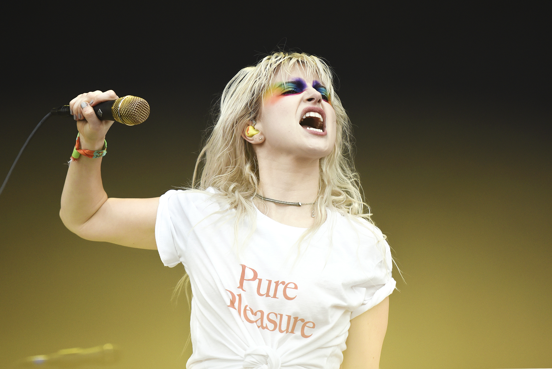 Paramore_Bonnaroo_001.jpg