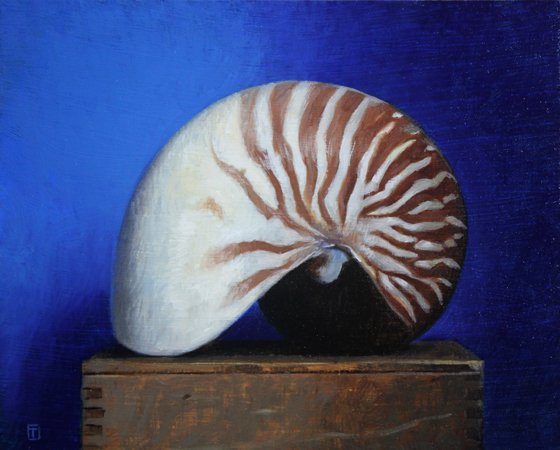 NautilusinBlue_sm.jpg